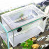 Aquarium Fish Breeding Isolation Box with Suction Cups
