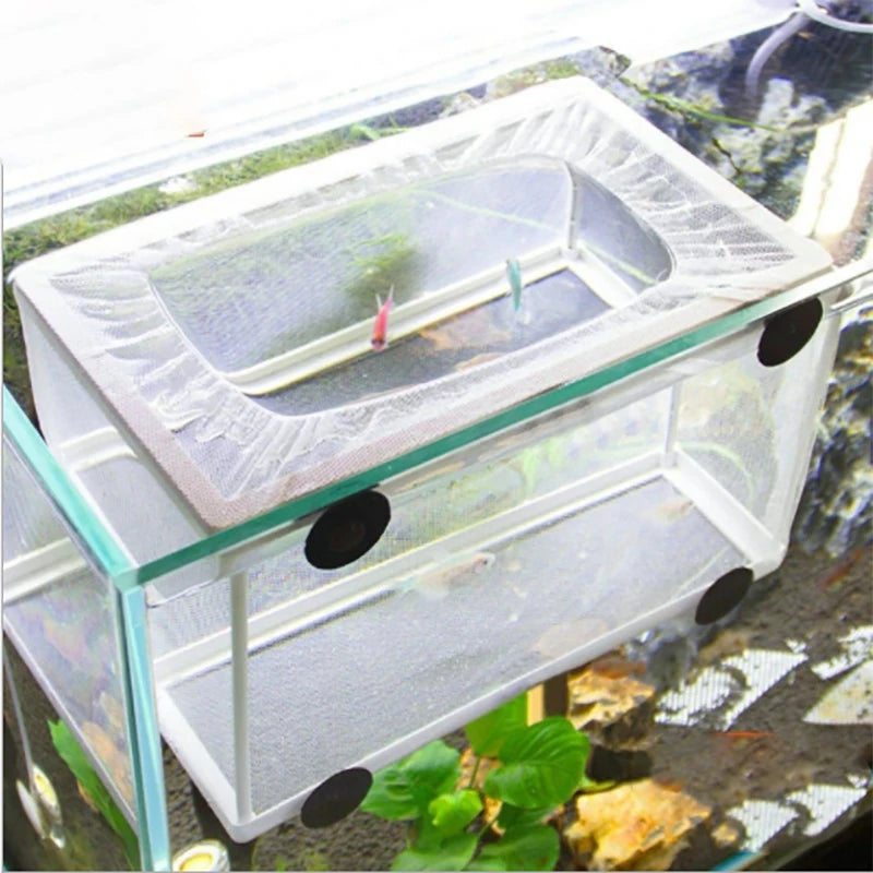 Aquarium Fish Breeding Isolation Box with Suction Cups