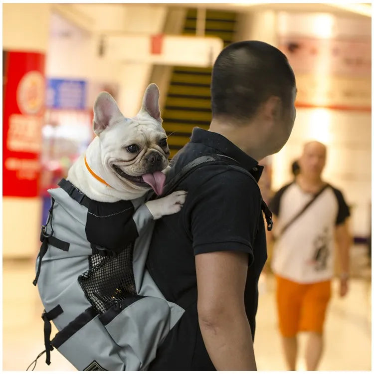 Eine Person trägt einen weißen Hund in einem hellgrauen belüfteten Rucksack und geht drinnen.
