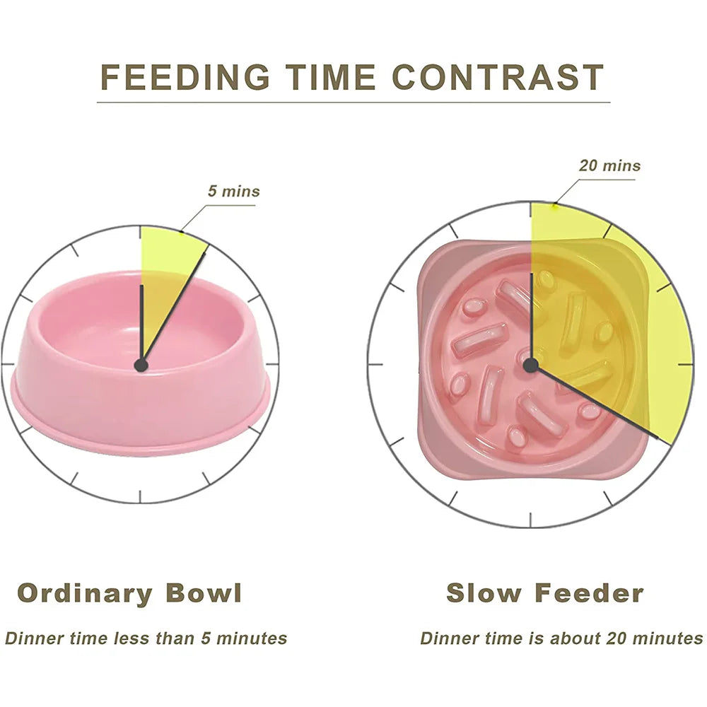 Comparison of an ordinary bowl and a slow feeder bowl showing feeding time contrast.
