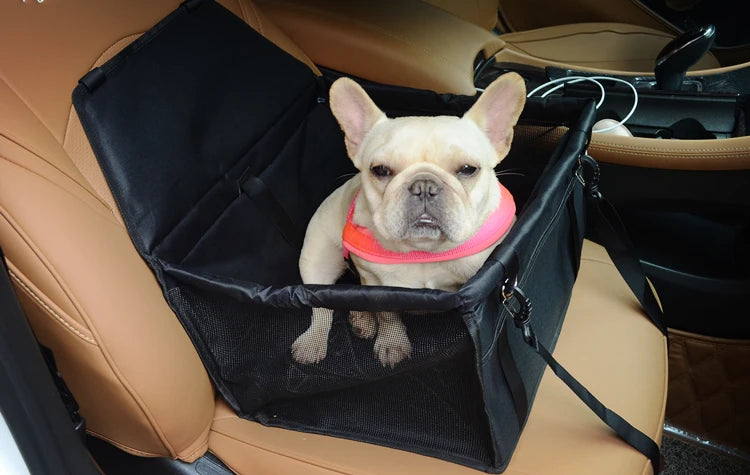 Asiento Compacto para Mascotas en el Coche y Hamaca de Viaje