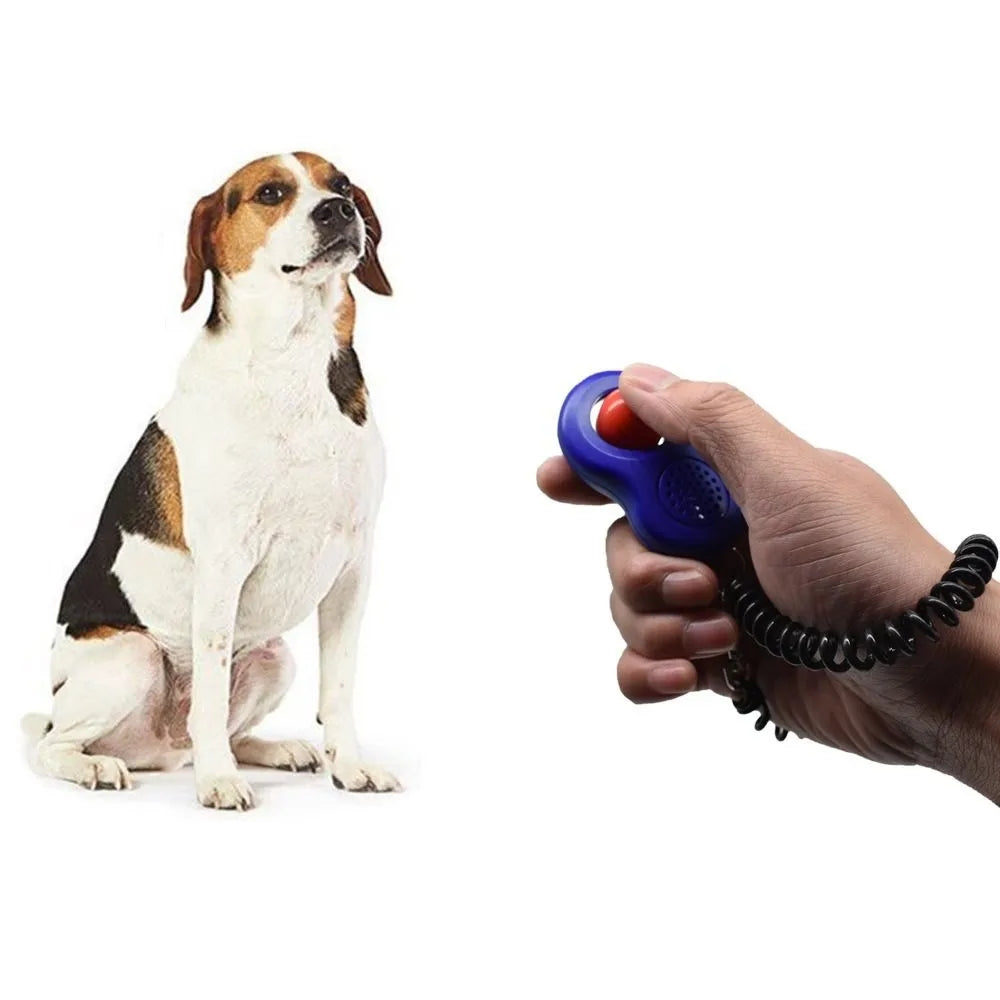 A dog is sitting next to a hand holding a purple pet training clicker device.