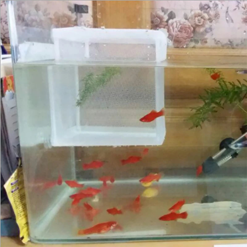 Aquarium Fish Breeding Isolation Box with Suction Cups