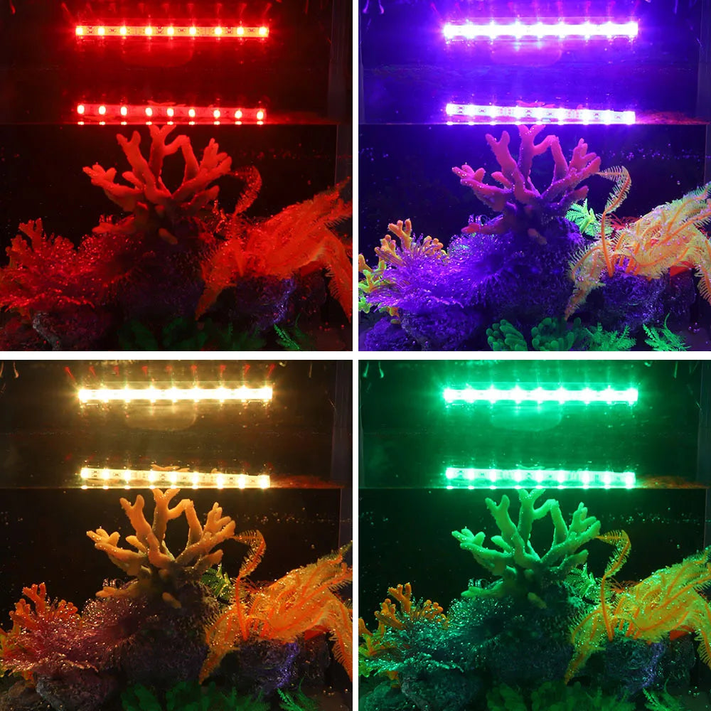 Four images showing an aquarium setup illuminated by submersible RGB LED lights in red, purple, yellow, and green.