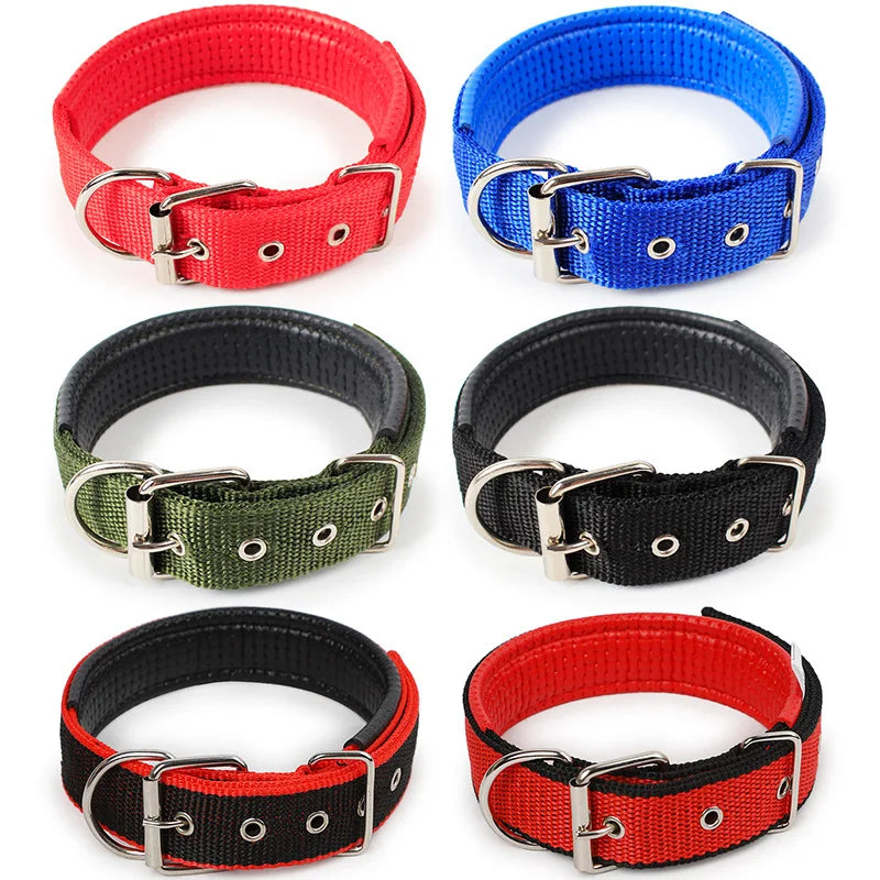 Four adjustable dog collars in red, blue, olive green, and black.