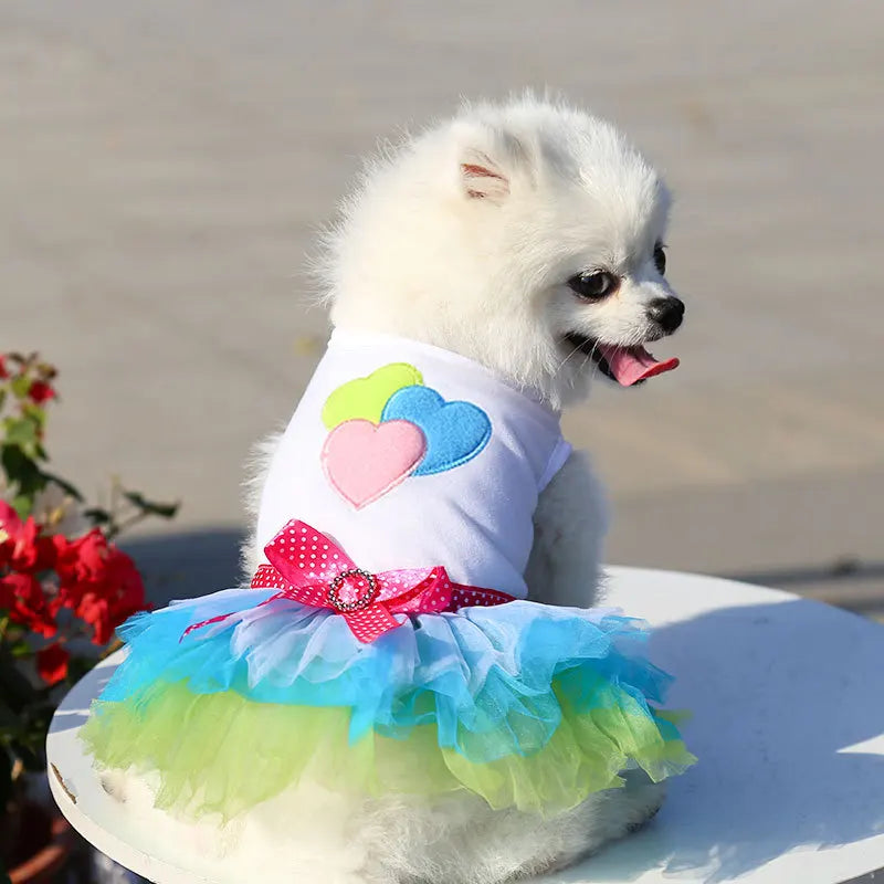 A white dog wearing a pink and blue lace dress with heart appliqués sits on a white surface.