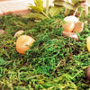 A close-up of artificial green moss with smooth, amber and brown stones used for crafts and decor.