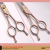 Professional 3-Piece Dog Grooming Scissors Set — Straight, Thinning & Curved