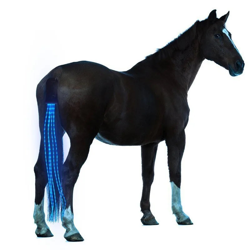 Set de Correas LED para Caballos: Seguridad y Visibilidad Nocturna