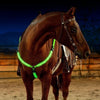 Set de Correas LED para Caballos: Seguridad y Visibilidad Nocturna