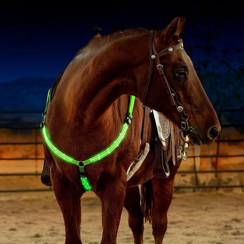 Set de Correas LED para Caballos: Seguridad y Visibilidad Nocturna