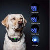 A light-colored dog wearing a black training collar with various mode indicators for sound, vibration, shock, and LED light.
