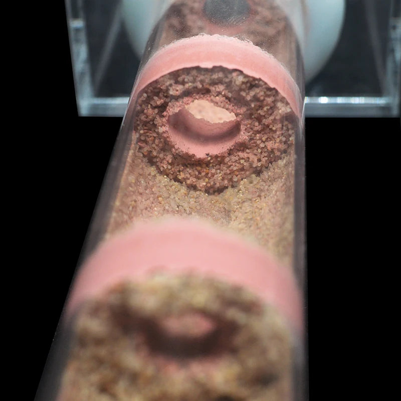 Nid de Fourmis en Bambou Naturel avec Chambre d'Alimentation