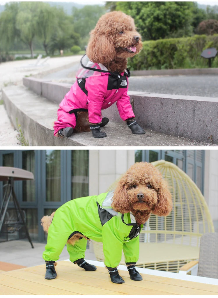 Impermeable para perros con estampado de cara divertida