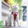 A white cat wearing a red bowknot harness and sitting on a wooden surface.