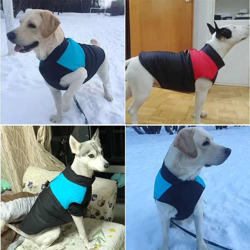 Chaleco impermeable acolchado para perro