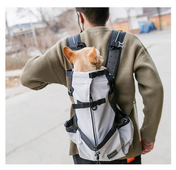 Eine Person trägt einen belüfteten Hundetransporter-Rucksack mit einer kleinen orangefarbenen Katze auf dem Rücken.
