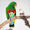 Parrot Diaper Flight Suit with Bowtie
