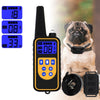 Rechargeable Dog Training Collar with Remote – 800m Range, Waterproof