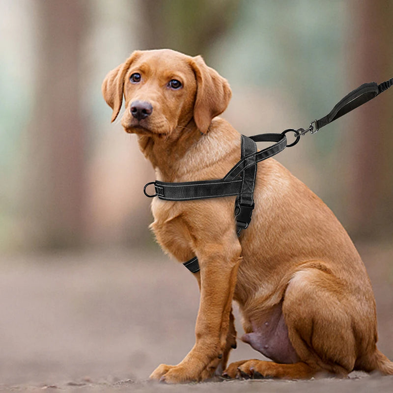 Nylon Durable Dog Harness with Handle - No-Pull Reflective