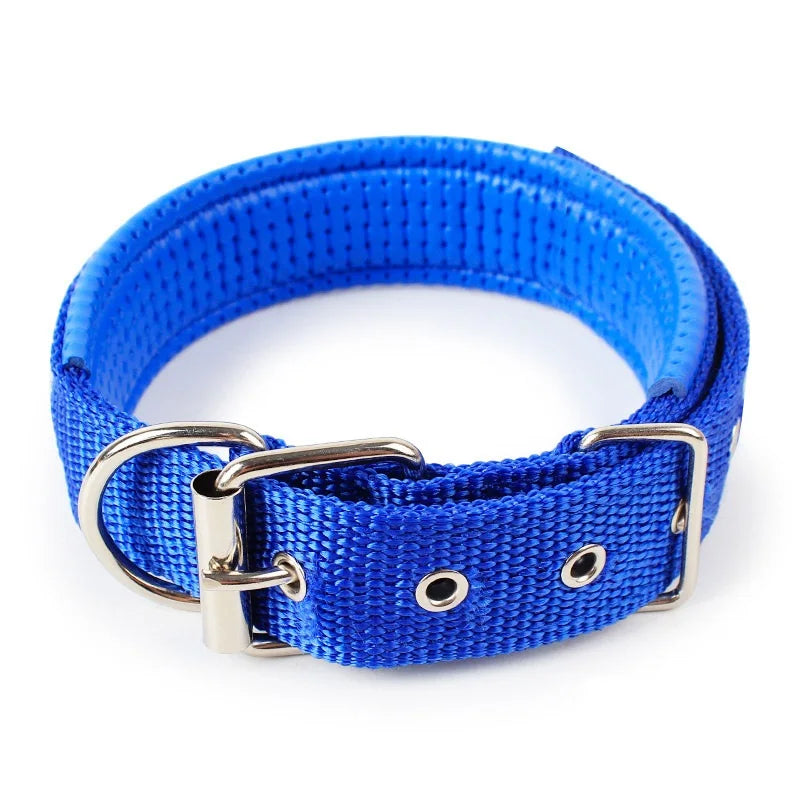 A bright blue soft cotton adjustable dog collar with a silver buckle.