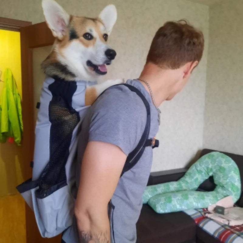 Travel Dog Carrier Backpack for Medium to Large Dogs
