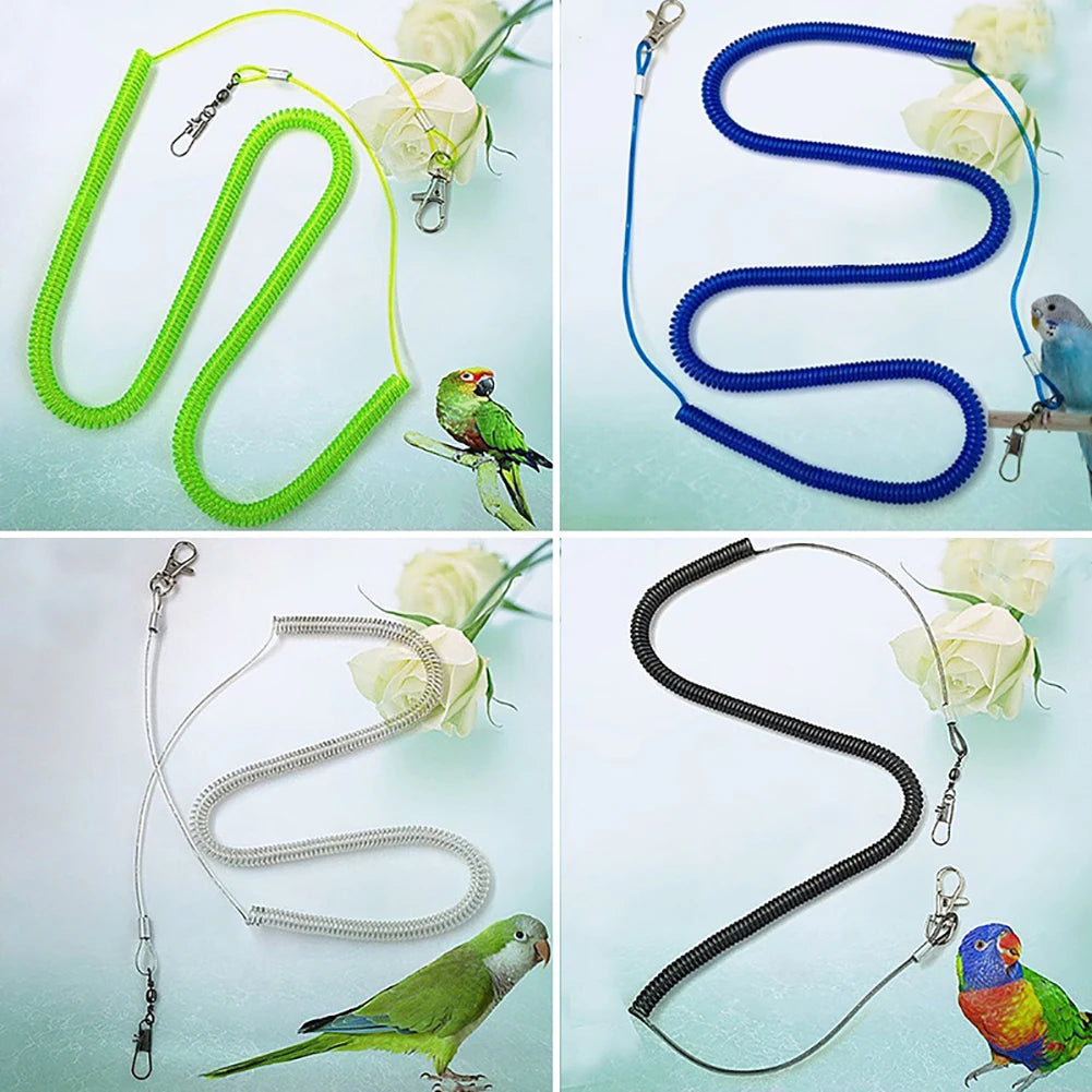 Various colored parrot training leashes for cockatiels and budgies shown in different colors and angles.