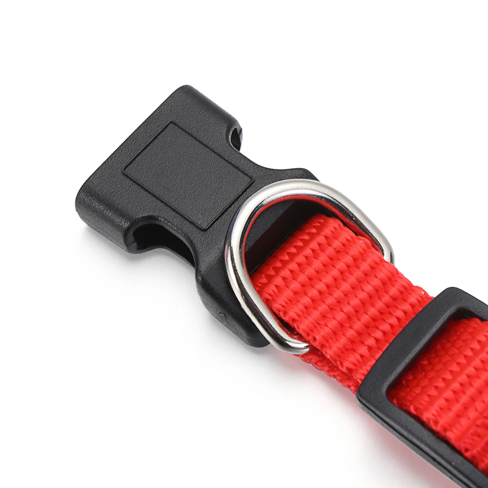 Black adjustable pet collar with a red woven strap and silver buckle.