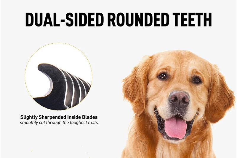 Two-Sided Stainless Steel Pet Grooming Brush