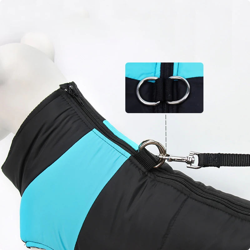 Winter Waterproof Dog Jacket for All Sizes