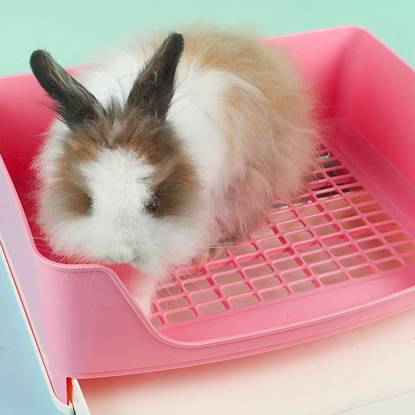 A fluffy brown and white rabbit is sitting inside a pink anti-overturn drawer litter box.