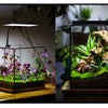 Week Aqua USB Aquarium Light Full Spectrum LED