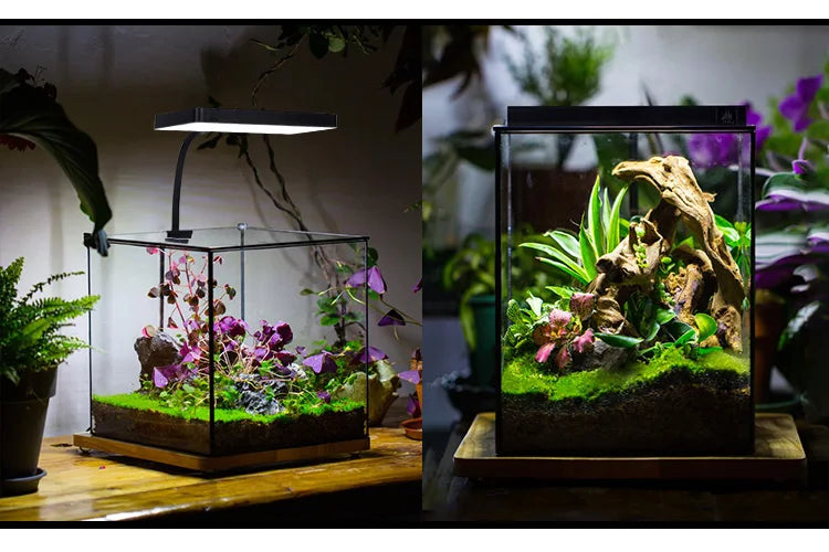 A glass aquarium setup featuring lush green plants and moss, illuminated by a black LED light box.