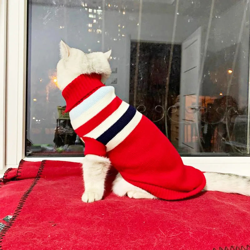 Suéter de Punto Acogedor para Perro