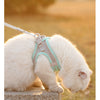 A white cat wearing a light blue harness sits on a stone ledge outdoors.