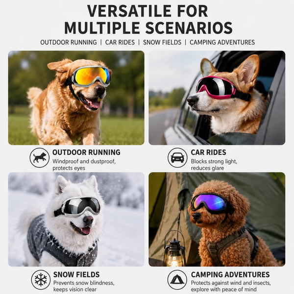 Adjustable pet sunglasses shown in various outdoor scenarios including running, car rides, snow fields, and camping adventure