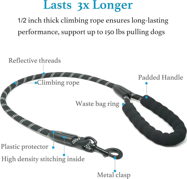 A close-up view of a climbing rope leash featuring reflective threads, a padded handle, and a metal clasp.