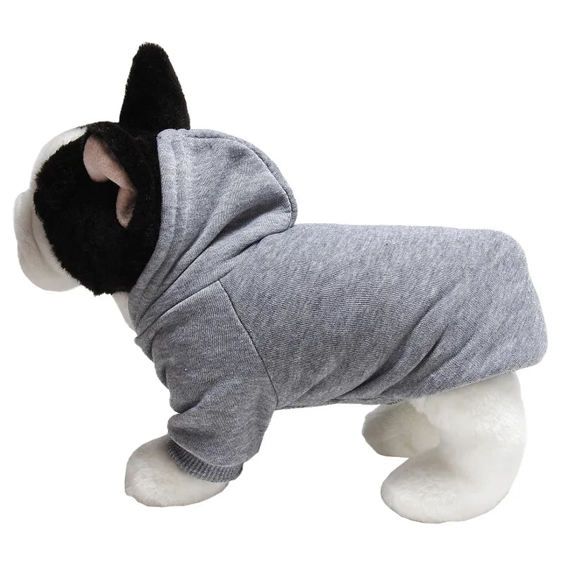 Un pull confortable pour lapin gris avec une oreille noire et des pattes blanches.