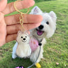 A transparent pet hair storage keychain shaped like a dog is held in a hand against a green outdoor background.