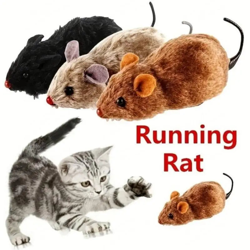 Una colección de tres ratones de peluche y un gatito, incluyendo una rata negra, una rata gris y una rata marrón.
