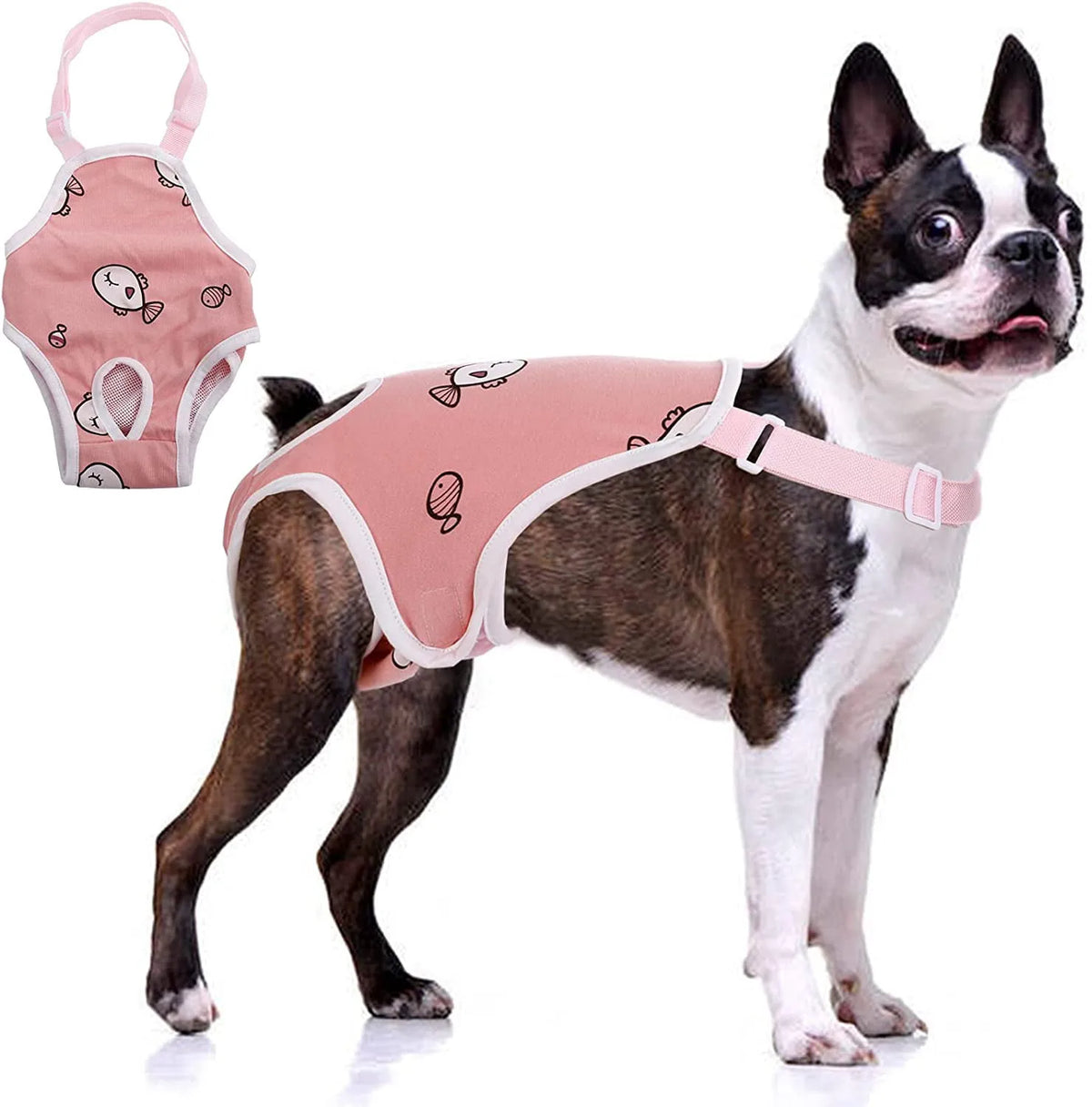 A black and white dog is wearing a pink adjustable diaper short with suspenders.