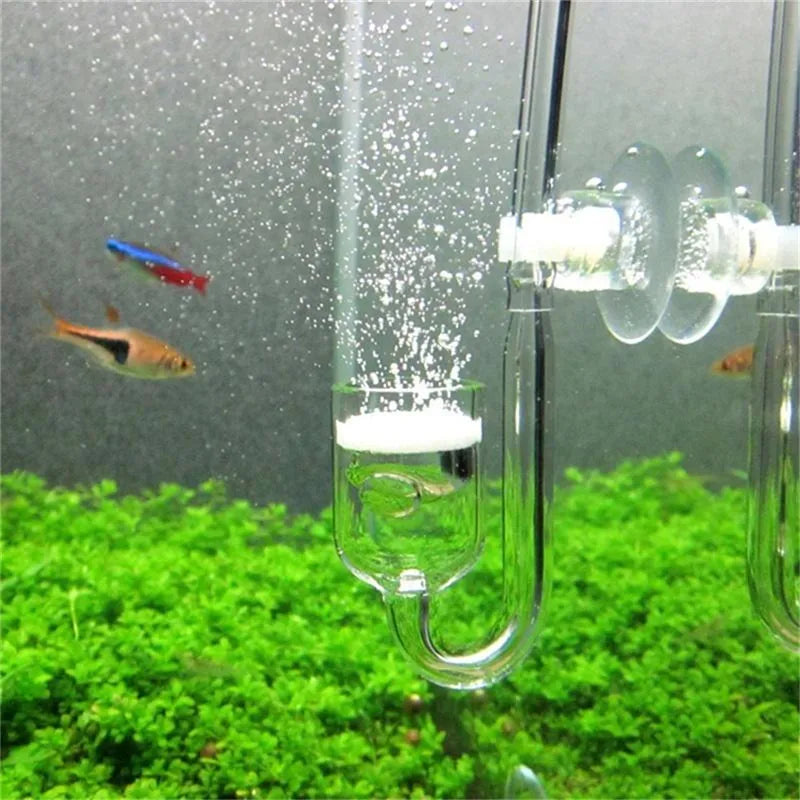 Installation d'un diffuseur CO2 dans un aquarium, délivrant des bulles dans l'eau sur des plantes vertes.