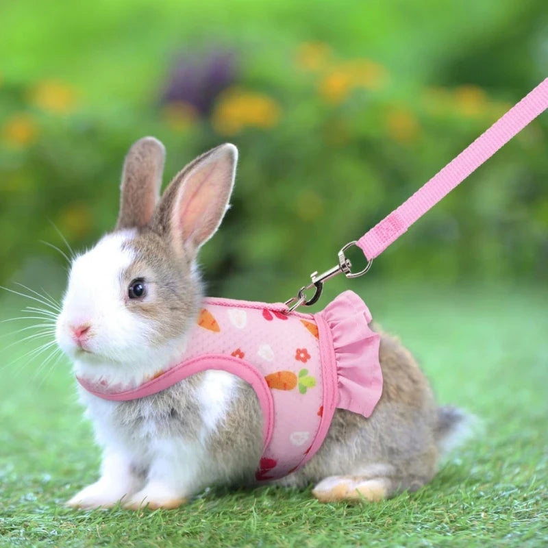 Adjustable Mesh Harness with Leash for Small Pets