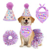 Pet Birthday Party Accessory Set with Bandana, Tutu Skirt & Hat