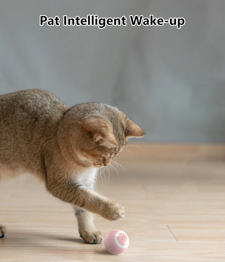 Intelligenter interaktiver Rollball für Katzen