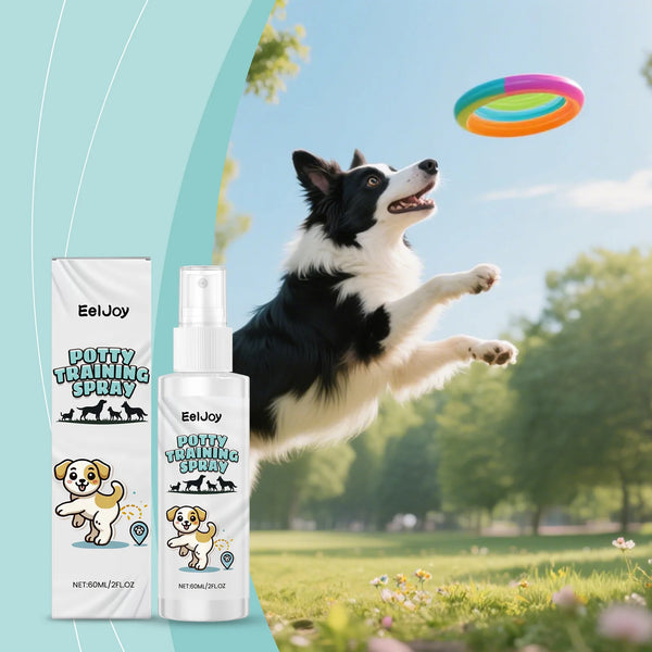 A black and white dog is jumping outdoors with a green bottle of Potty Training Spray in the background.