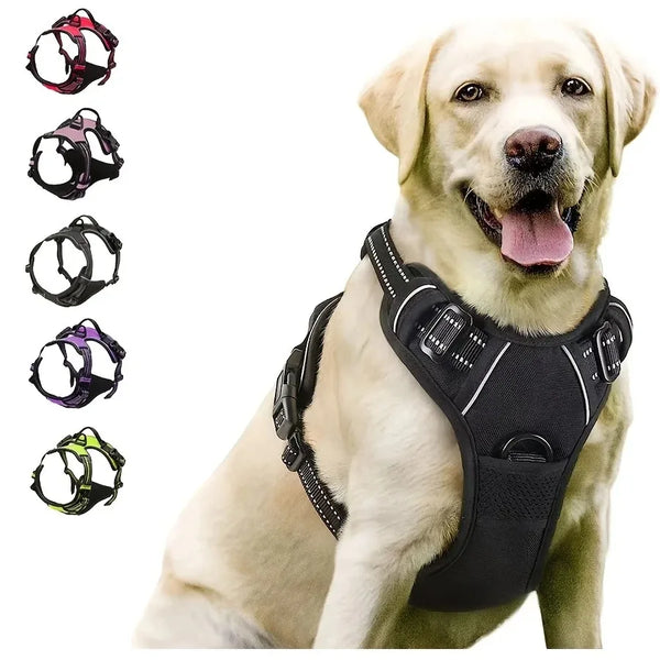 Ensemble Collier, Harnais et Laisse en Cuir pour Chien