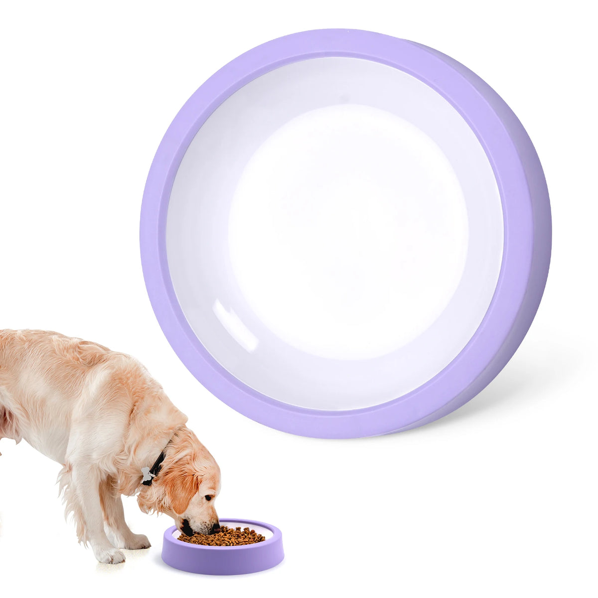 Anti-Gulping Maze Slow Feeder Dog Bowl with Non-Slip Base