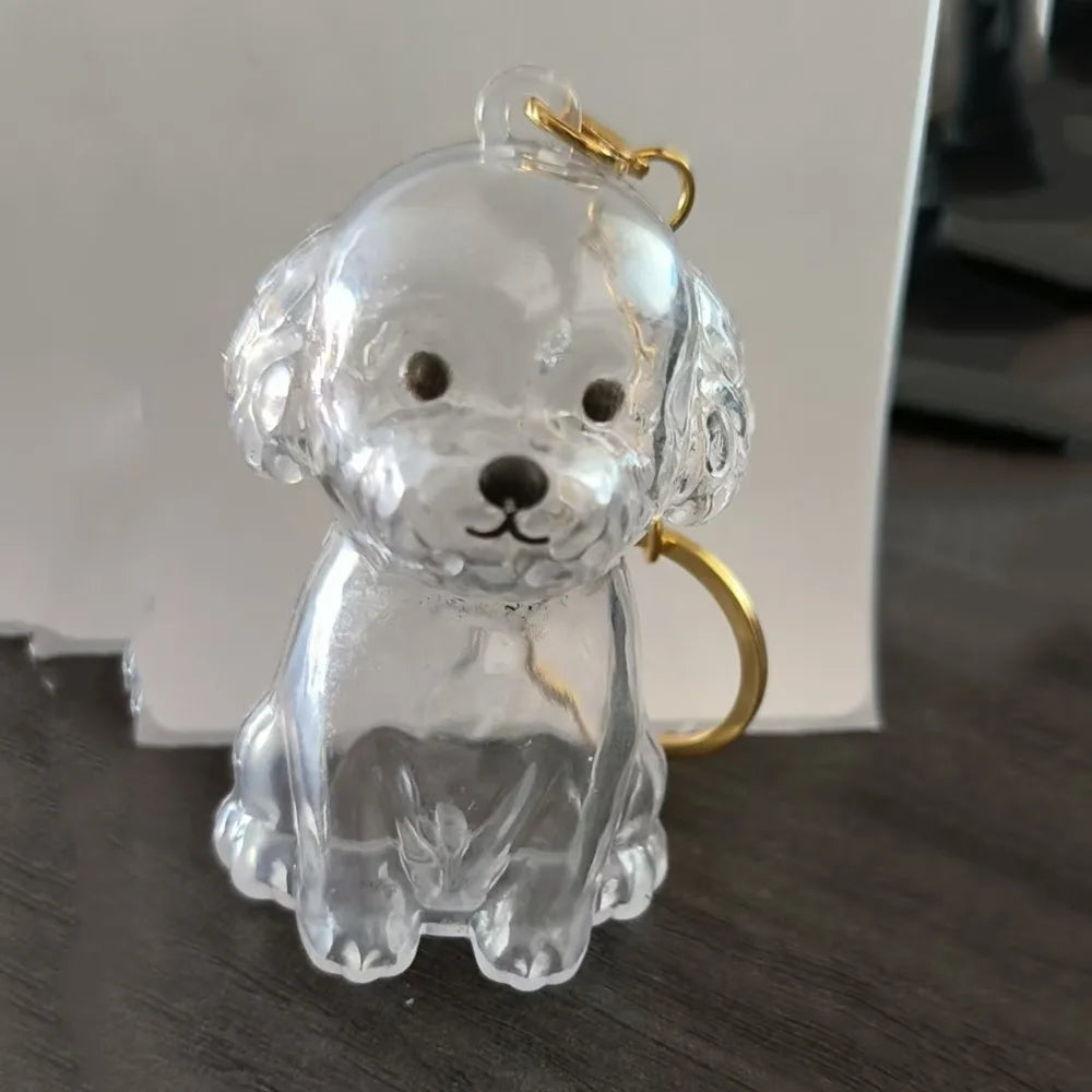 Pet Hair Storage Keychain – Transparent Dog & Cat Fur Keepsake Pendant