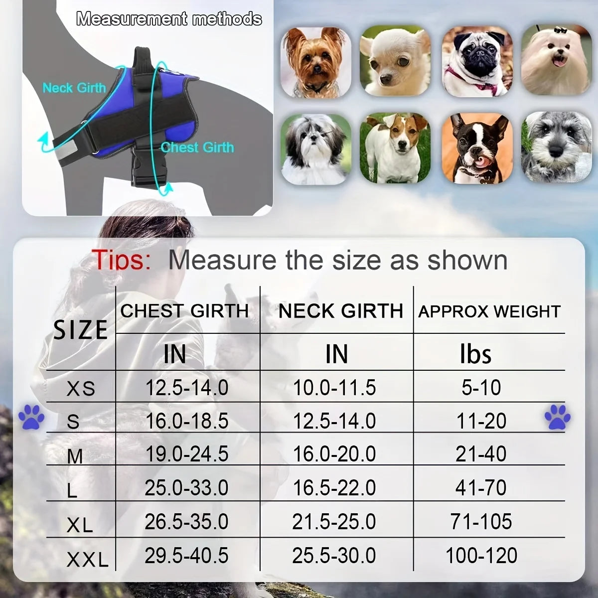 A guide showing measurement methods and size chart for an adjustable reflective dog vest harness.